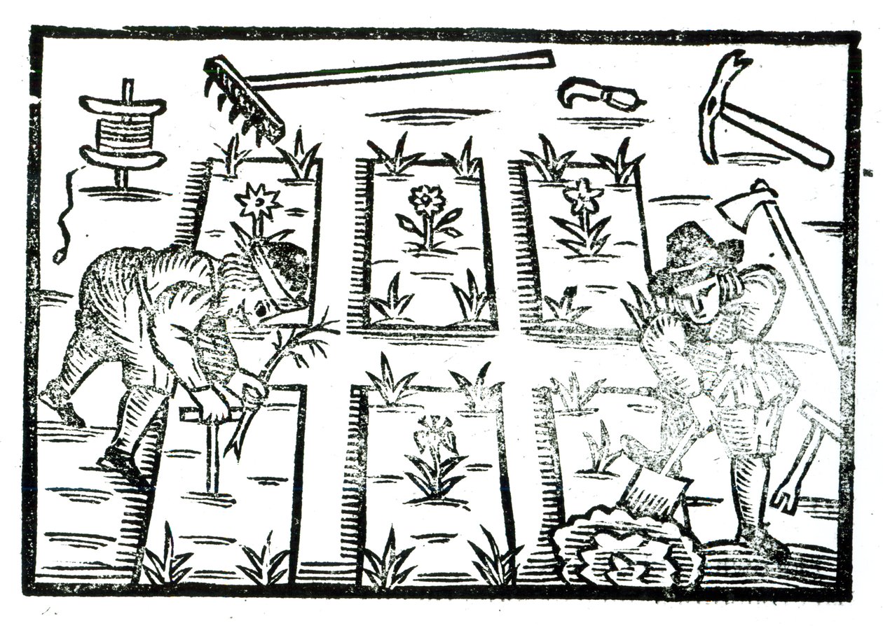 Ilustração de um livro sobre jardinagem de English School