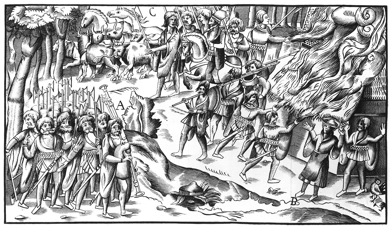 Incursão de gado irlandês em uma plantação inglesa, 1581 de English School