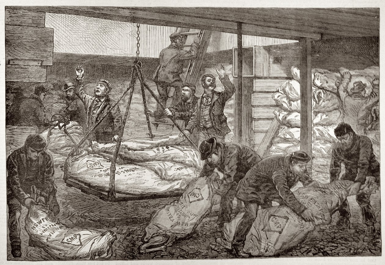 Desembarque australiano carne congelada de Sydney no sudoeste da Índia Dock, Millwall, de &39;The Illustrated London News&39;, 19 de novembro de 1881 de English School