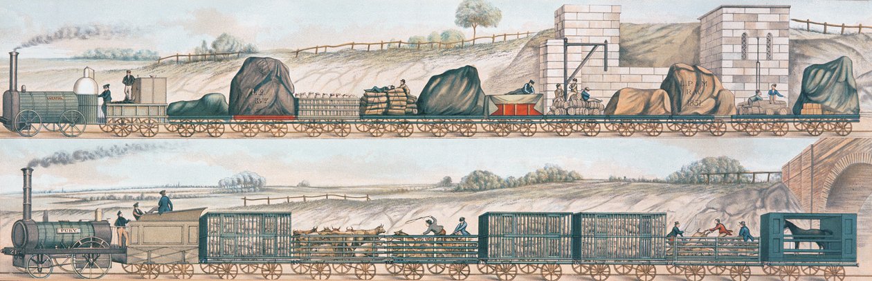 Liverpool e Manchester Railway: Frete e pecuária de English School