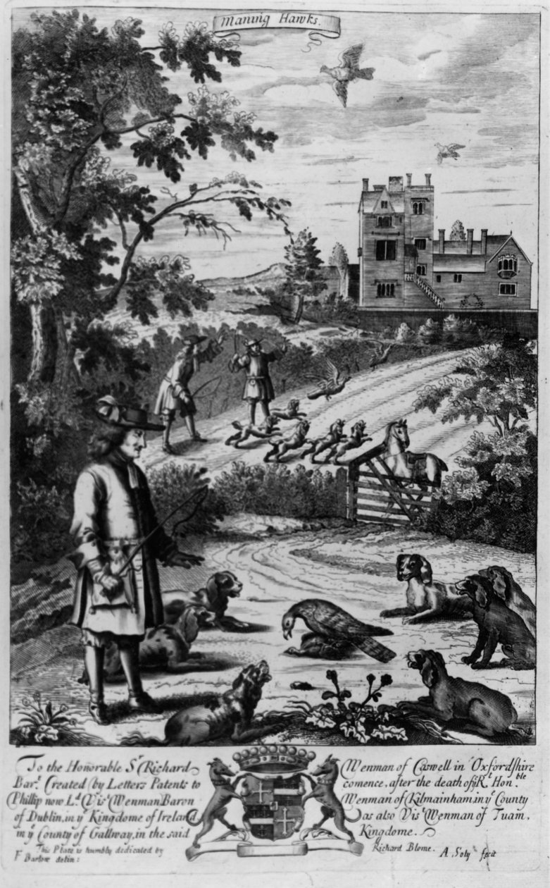Maning hawks, de &39;The Gentleman&39;s Recreation&39; publicado por Richard Blome, 1686 de English School