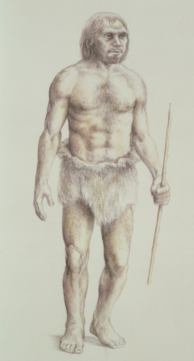 Homem neandertal de English School