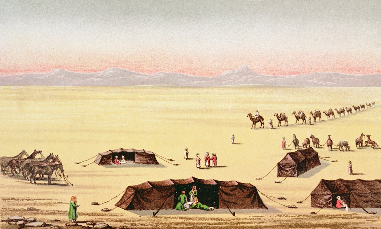 Nosso Desert Camp (gravura a cores) de English School