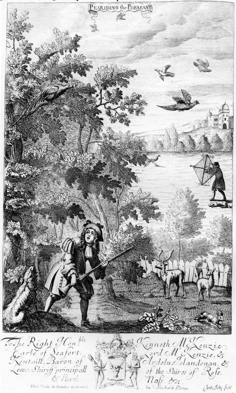 Pearching the Pheasant, de &39;The Gentleman&39;s Recreation&39; publicado por Richard Blome, 1686 de English School