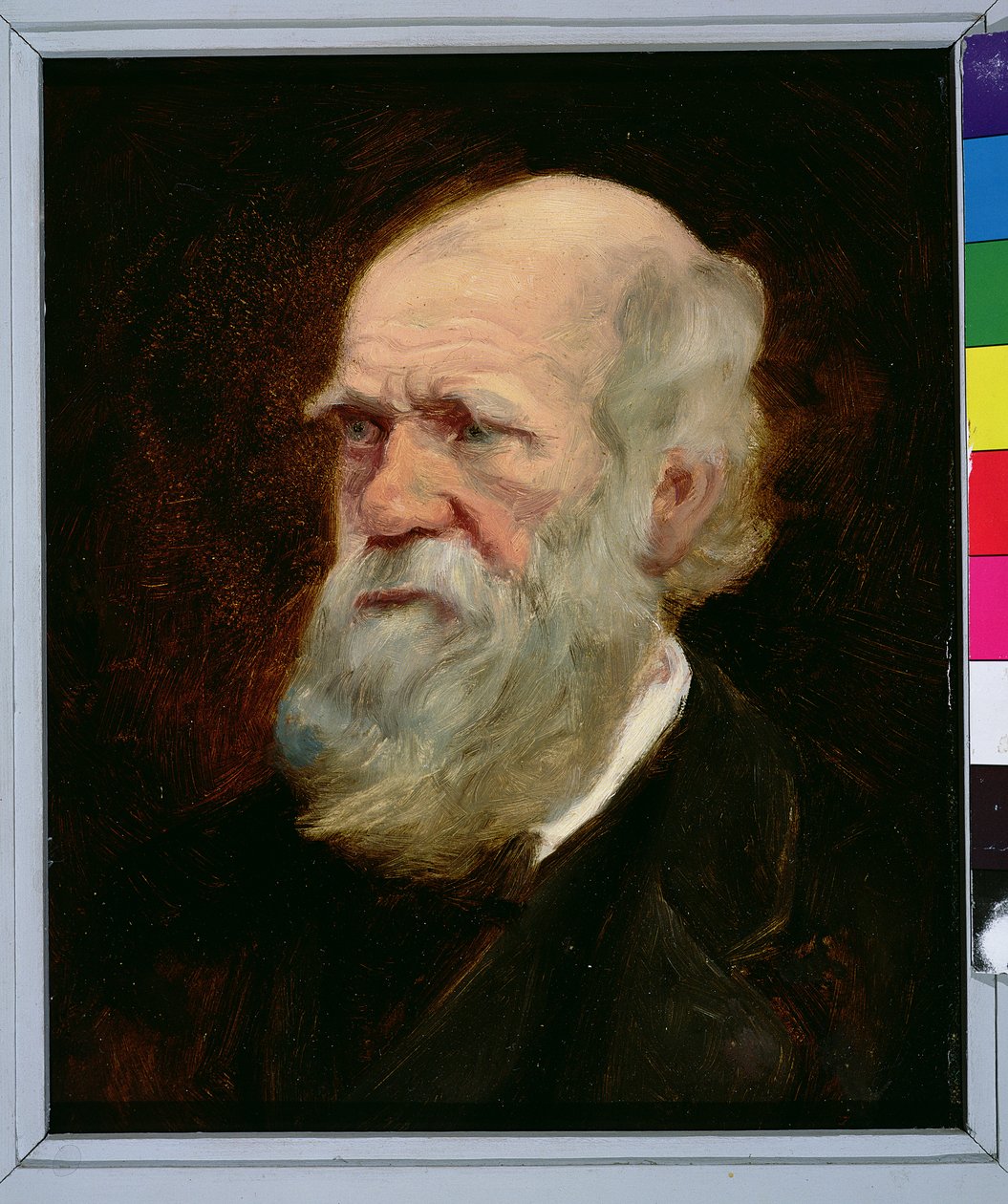 Retrato de Charles Robert Darwin (1809-82) naturalista inglês de English School