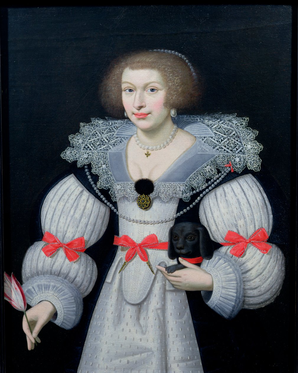 Retrato, senhora, segurando, cão, tulipa, c.1620 de English School