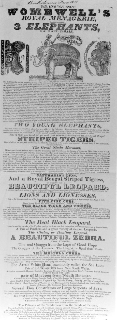 Cartaz para a apresentação do Royal Wombwell&39;s Menagerie na Feira de Bartholomew, 1830 (papel impresso) de English School