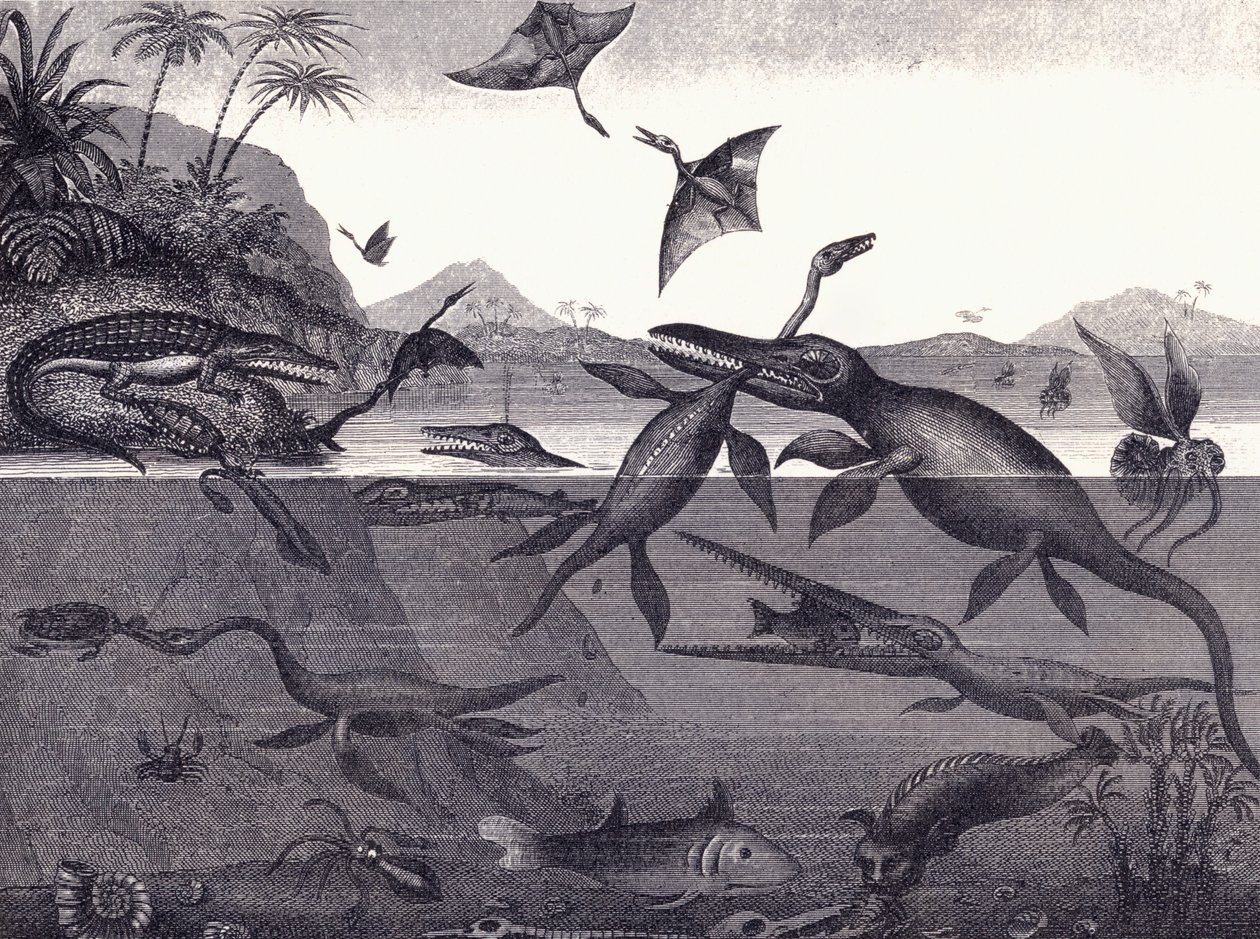 Animais Pré-históricos do Grupo Lias de English School