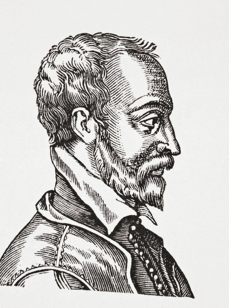 Remy Belleau, 1878 de English School
