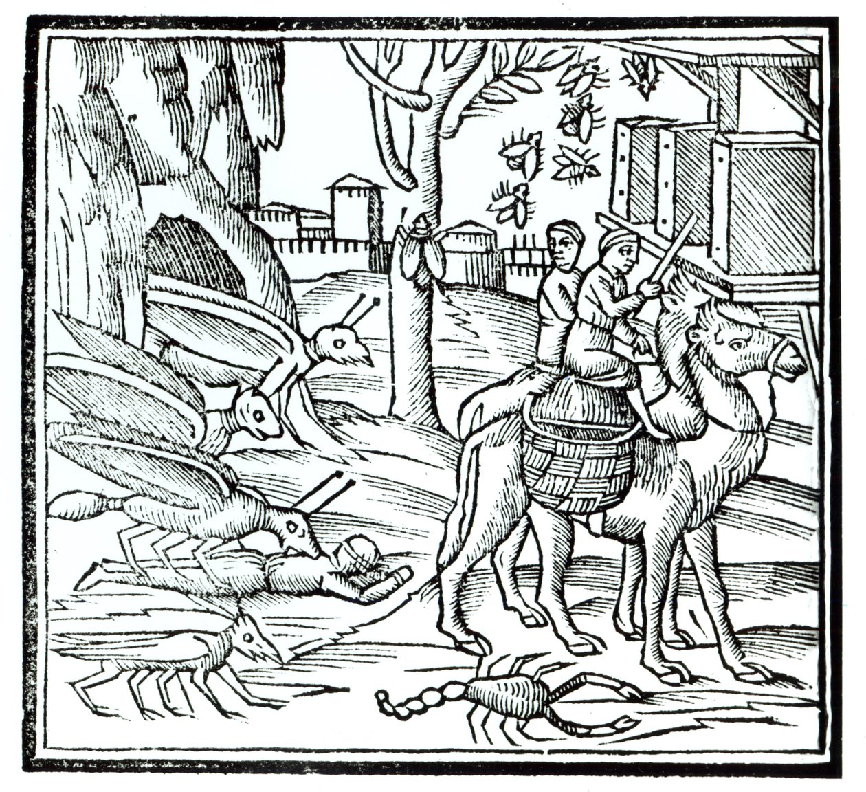 Representação da Peste, 1572 de English School