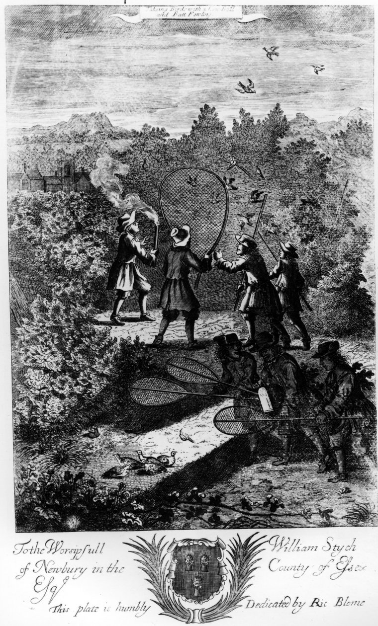 Tomando pássaros com uma rede, de "The Gentleman&39;s Recreation" publicado por Richard Blome, 1686 de English School