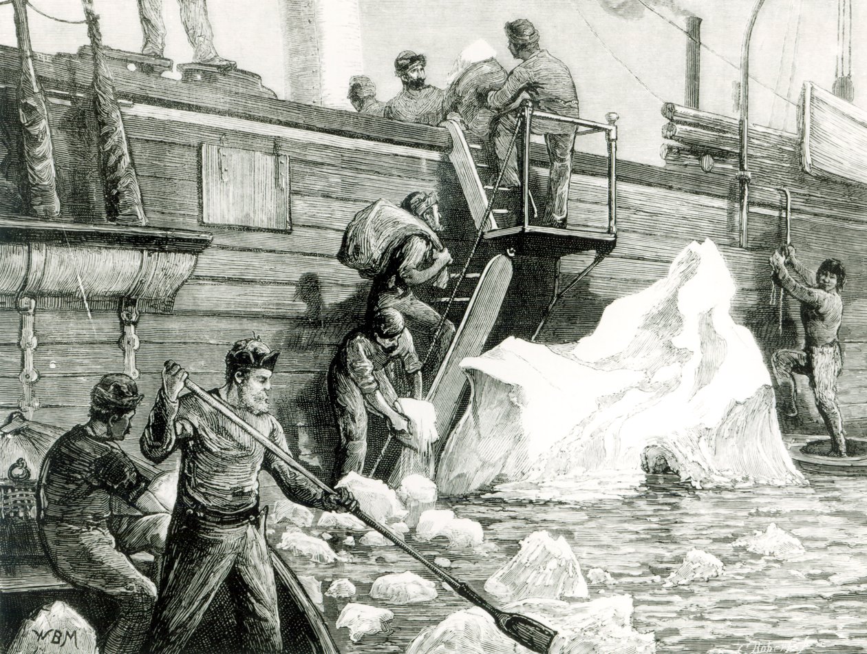 A Expedição Ártica Rega de um Iceberg, de &39;The Graphic&39;, 11 de setembro de 1875 de English School