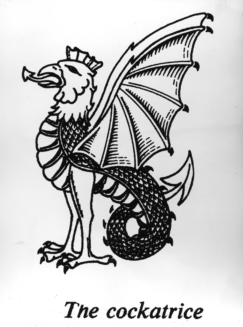 O Cockatrice de English School
