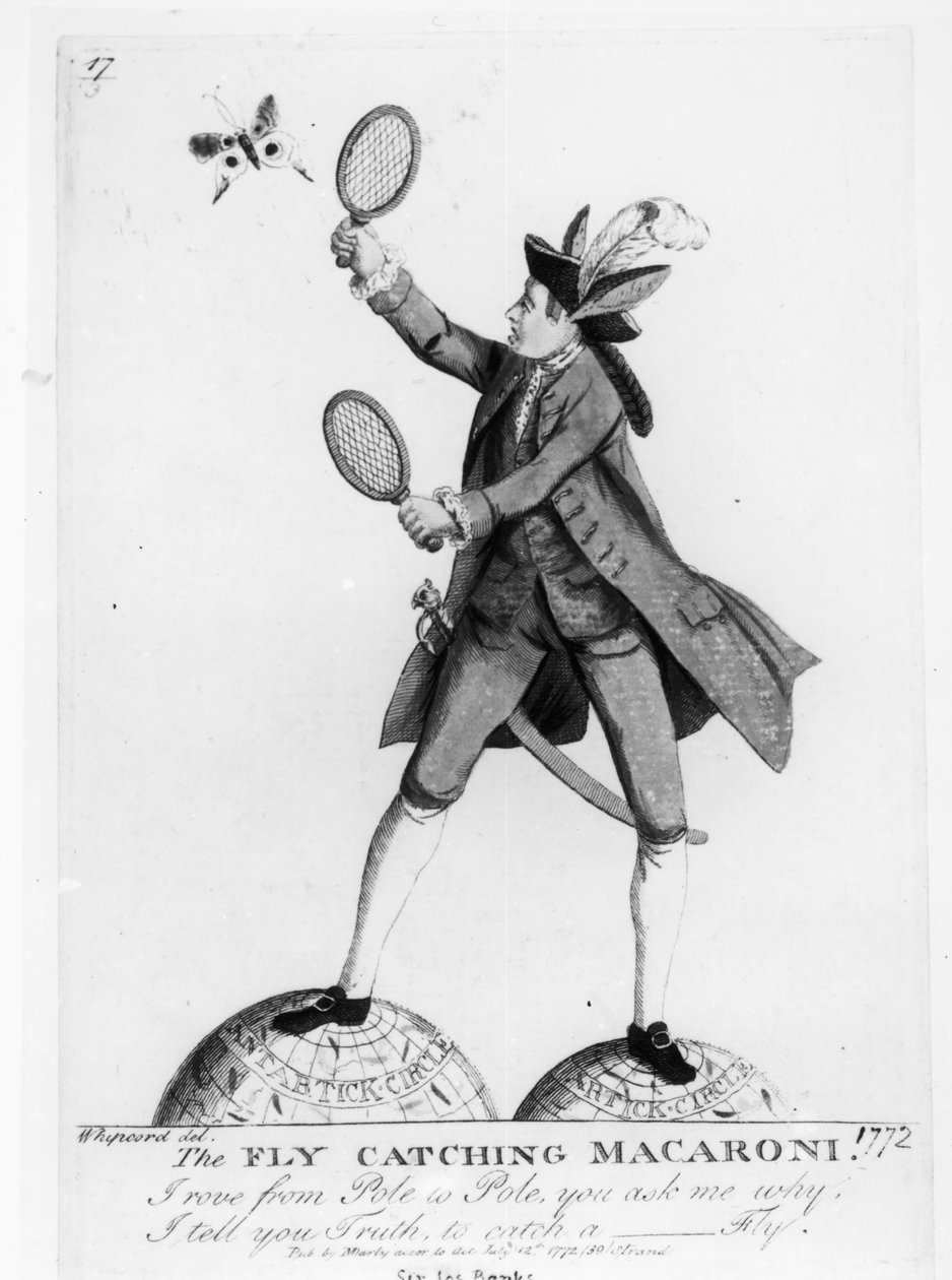 O Macarrão Catching Fly, gravado por Whipcord, pub. por N. Darly, 12 de julho de 1772 de English School