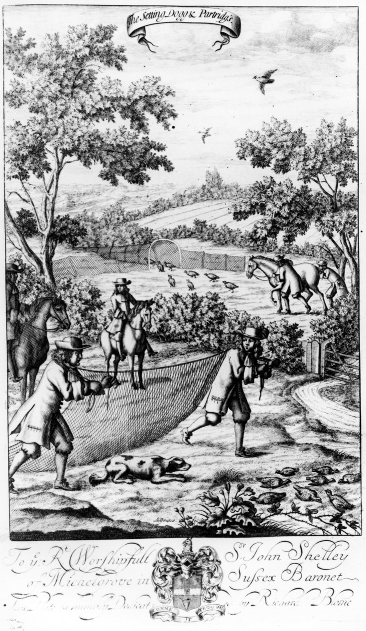 The Setting Dog e Partridges, de &39;The Gentleman&39;s Recreation&39; publicado por Richard Blome, 1686 de English School
