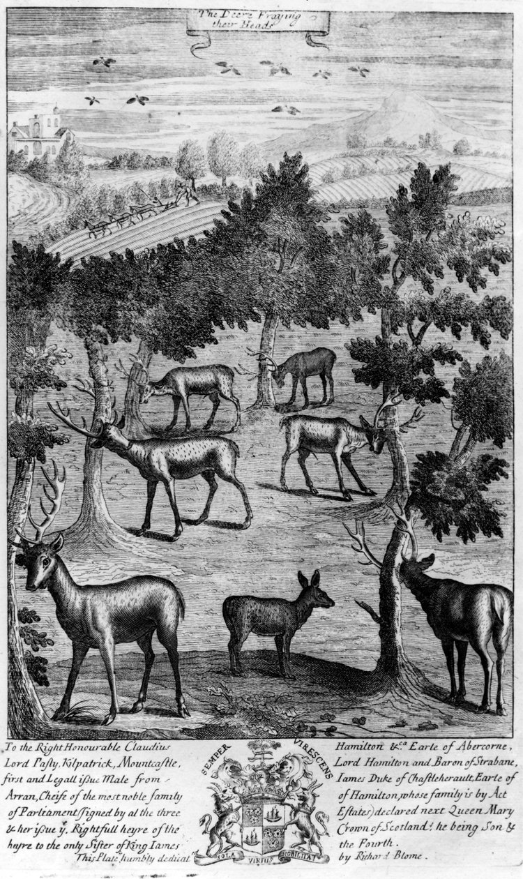 O cervo desgastando suas cabeças, de &39;The Gentleman&39;s Recreation&39; publicado por Richard Blome, 1686 de English School