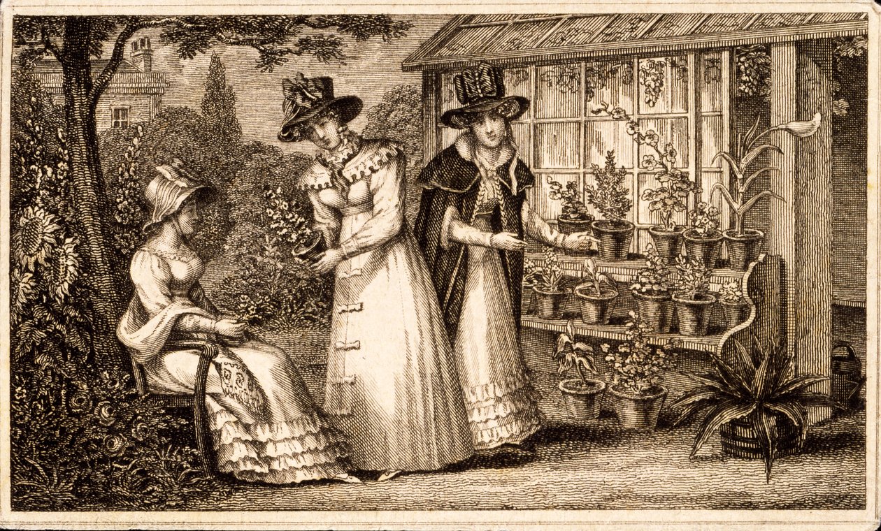 Três senhoras de jardinagem pelo galpão Potting c.1820s de English School
