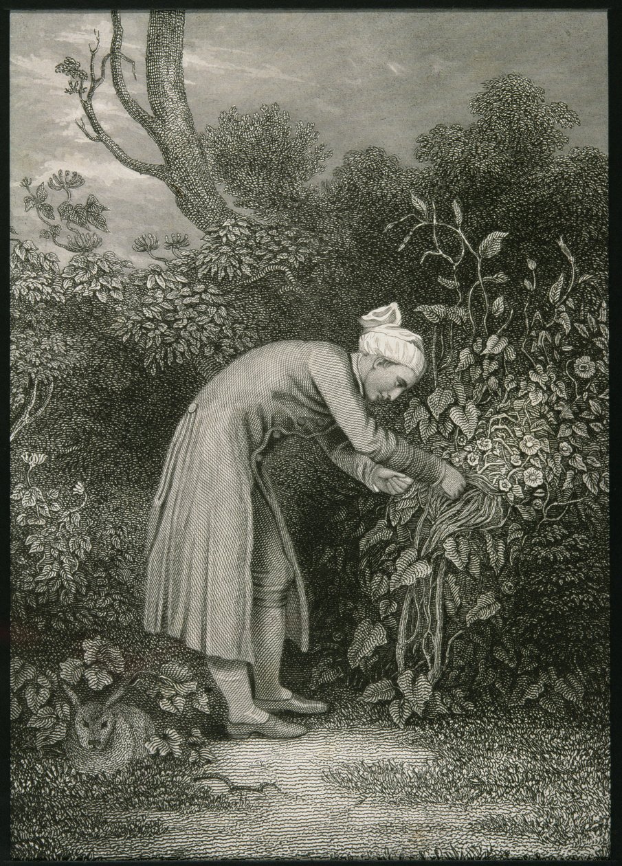 William Cowper (1731-1800) de English School