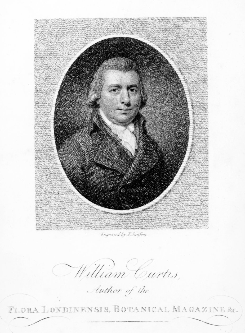 William Curtis, gravado por F. Sansom, 1790 de English School