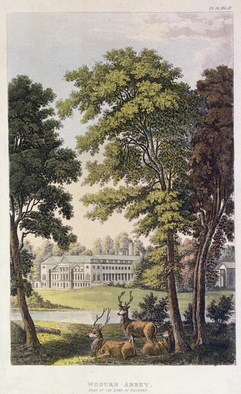 Abadia de Woburn, do "Repositório de Artes" de Ackermann, 1828 de English School