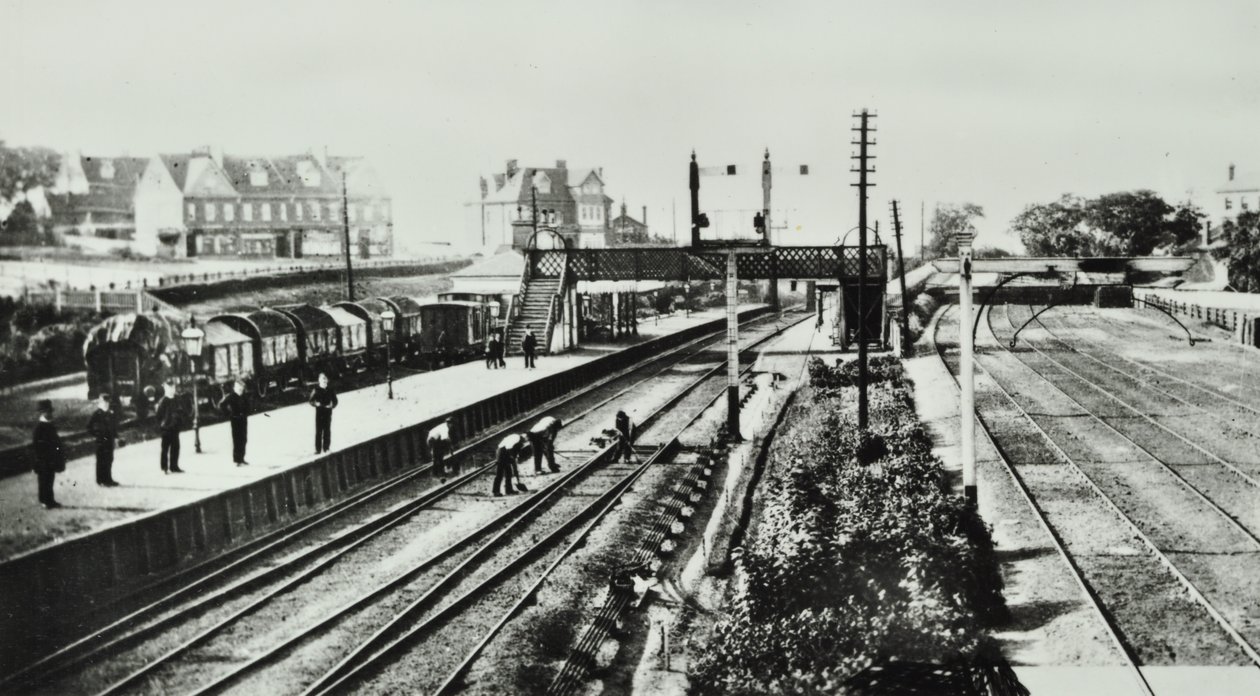 Grove Park Station: exterior e plataformas, 1888 de English Photographer