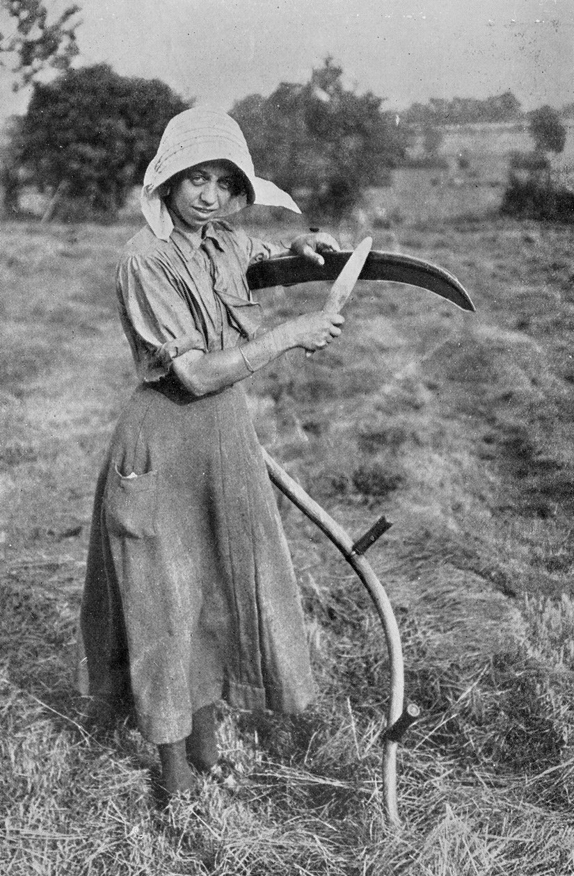 Colheita - Membro da Reserva Voluntária Feminina de Leicester ajudando um fazendeiro, fotografias do Departamento de Guerra, 1916 de English Photographer