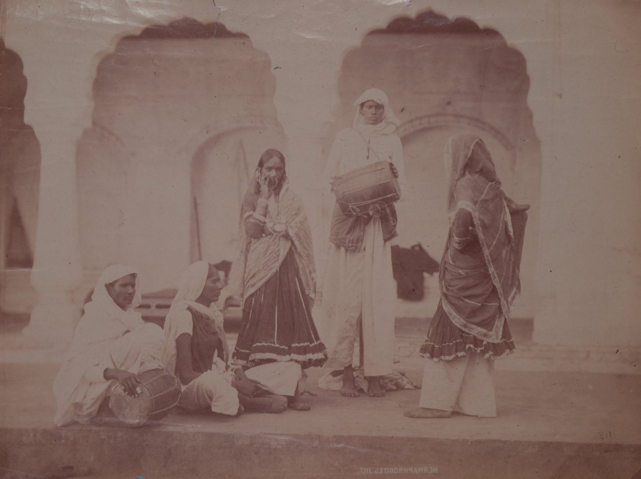 Hermaphrodite troupe, da 