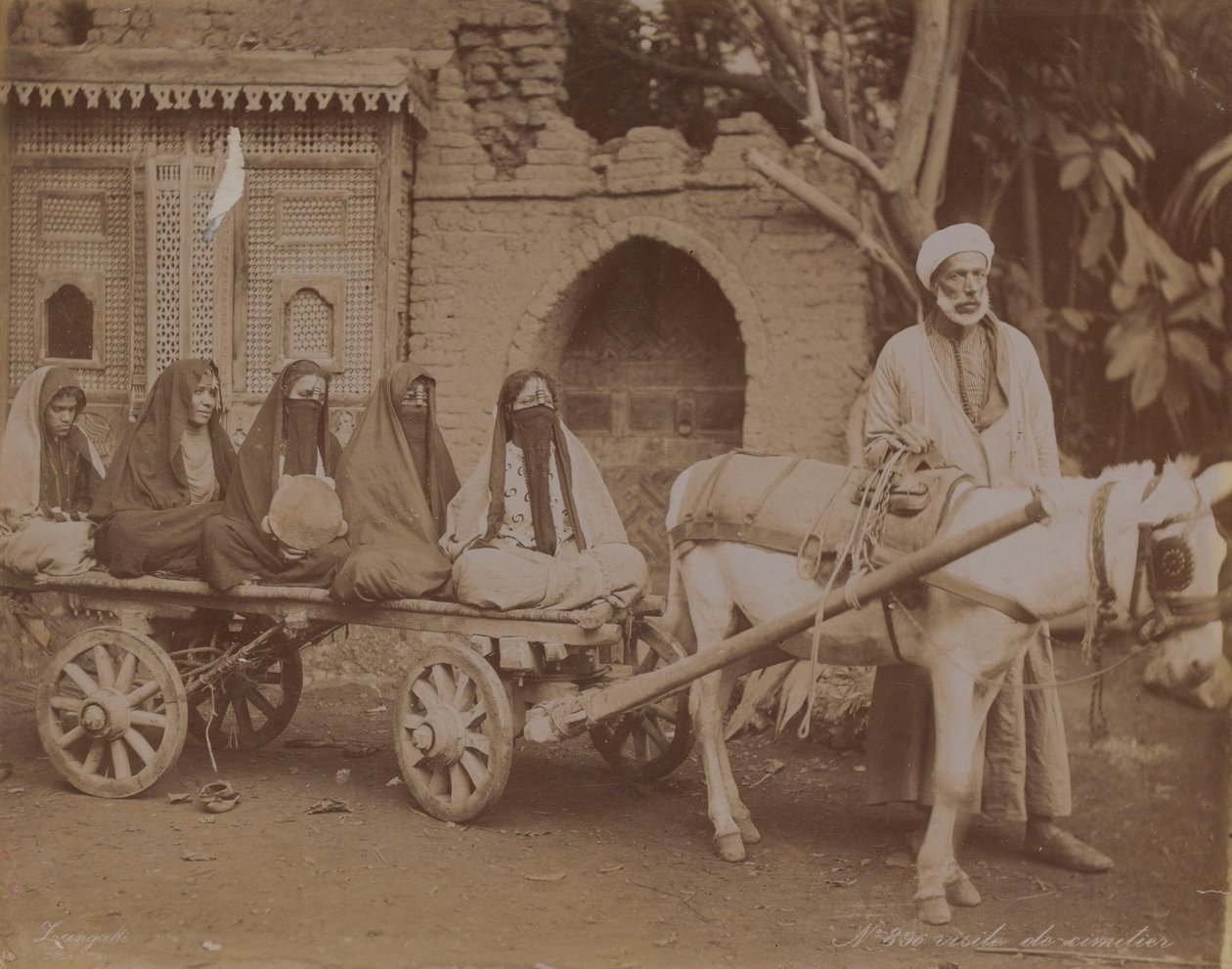 Carrinho puxado por cavalos, Cairo, 1893 de English Photographer