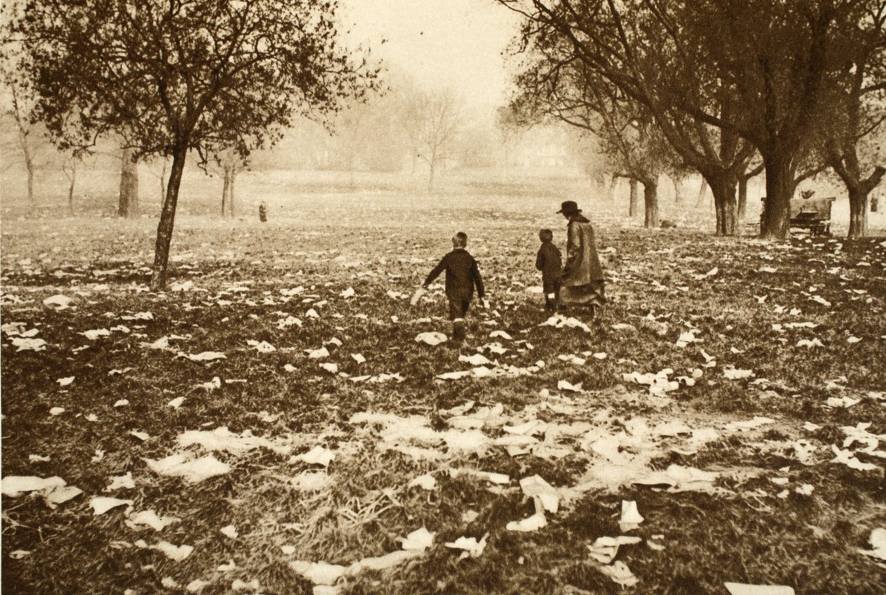 Grama coberta de lixo em Hampstead Heath no dia seguinte a um feriado bancário, de Wonderful London, publicado em 1926-27 (fotogravura) de English Photographer