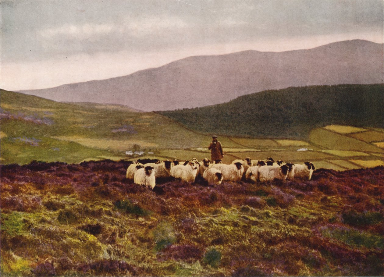 Nas montanhas de Mourne, County Down (fotografia a cores) de English Photographer