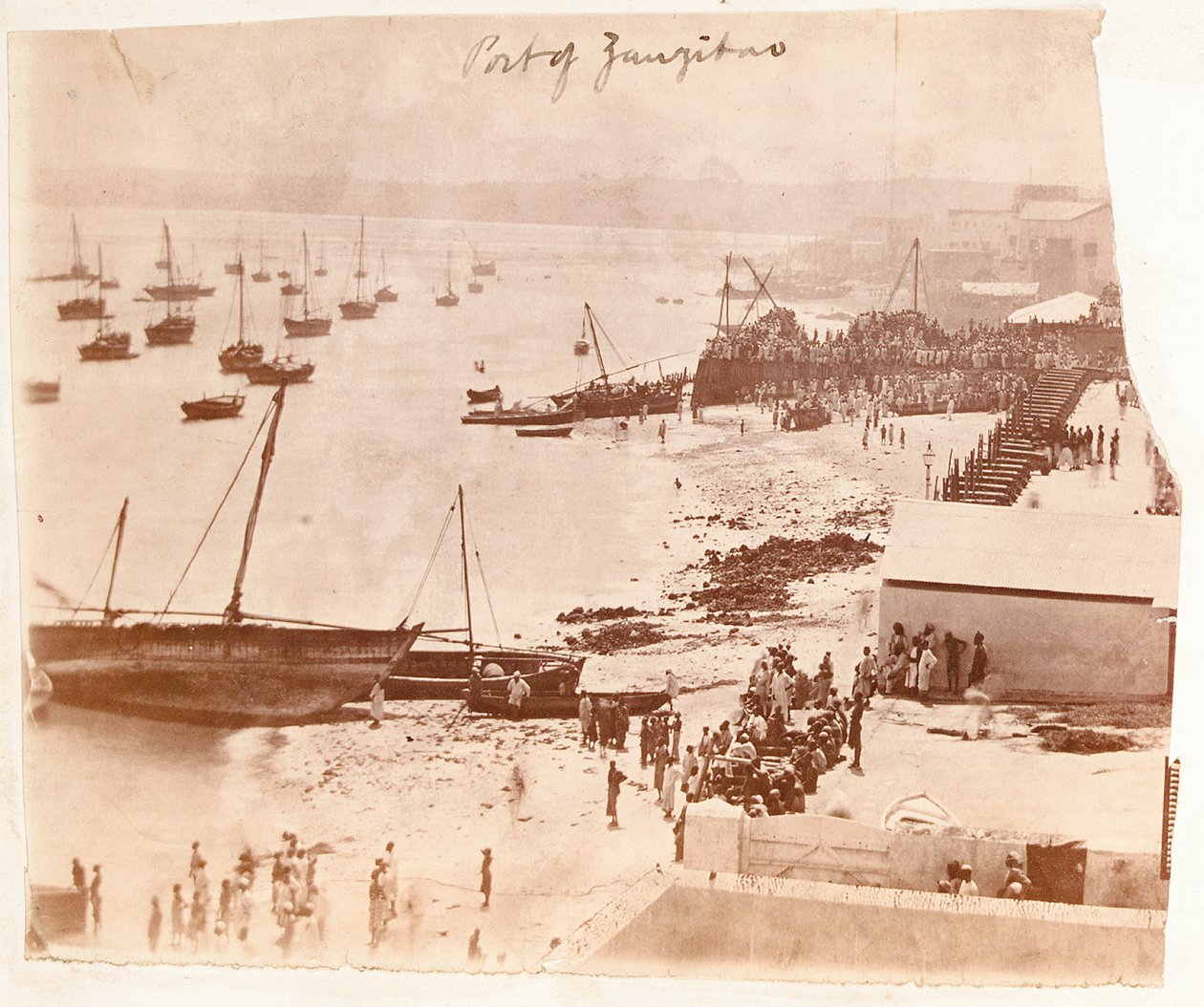 Porto de Zanzibar, de um álbum pertencente a Henry Morton Stanley de English Photographer