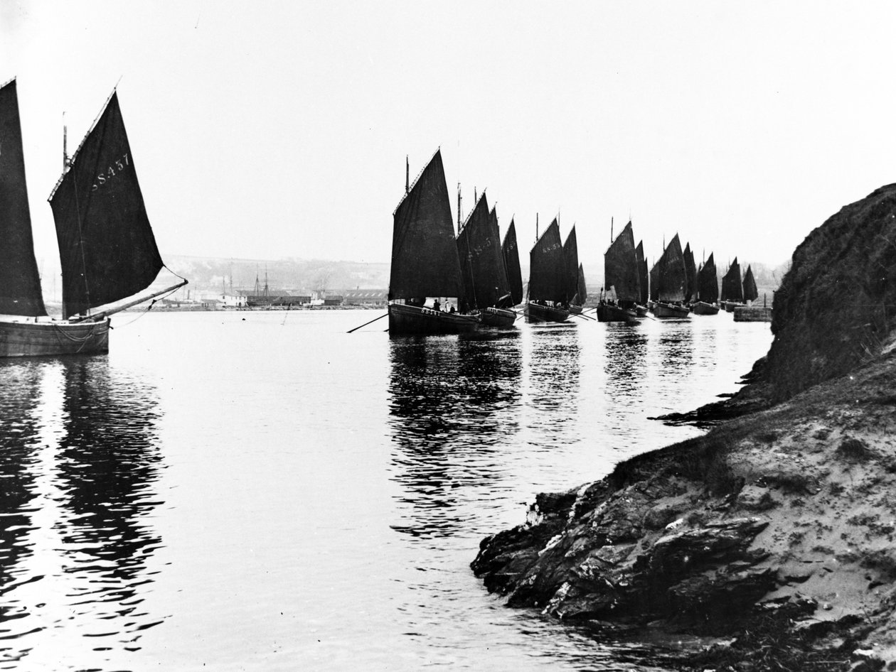 Regata, Estuário Hayle, c.1890 de English Photographer