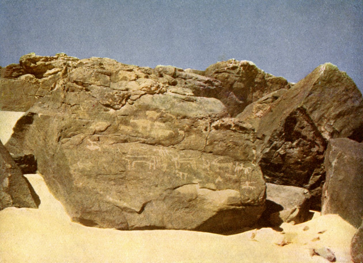 Hiroglifos pré-históricos de rocha, Egipto. de English Photographer