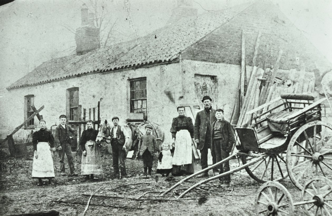 Saint Gothard Road: casas de fazenda, 1880 de English Photographer