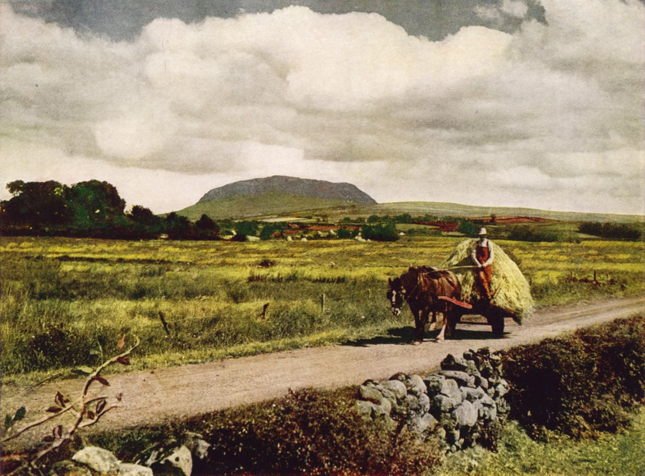 Slemish, Condado de Antrim (fotografia a cores) de English Photographer