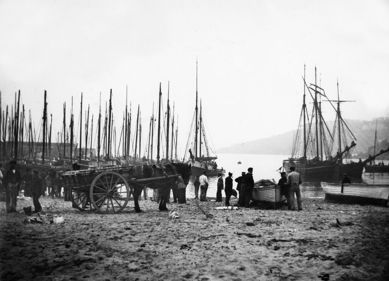 Porto de St Ives olhando para a baía de Carbis, c.1880-99 de English Photographer