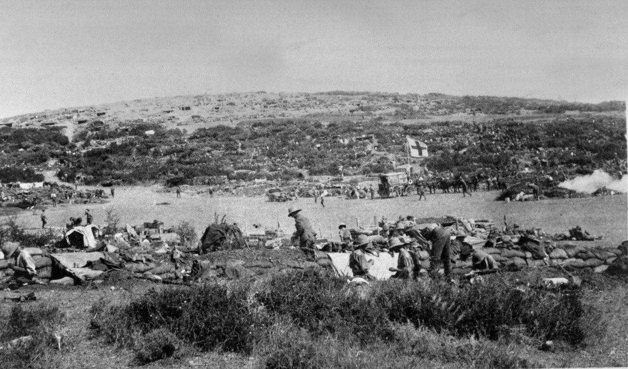 Suvla Bay, Gallipoli em Chocolate Hill, cerca de 1915 de English Photographer