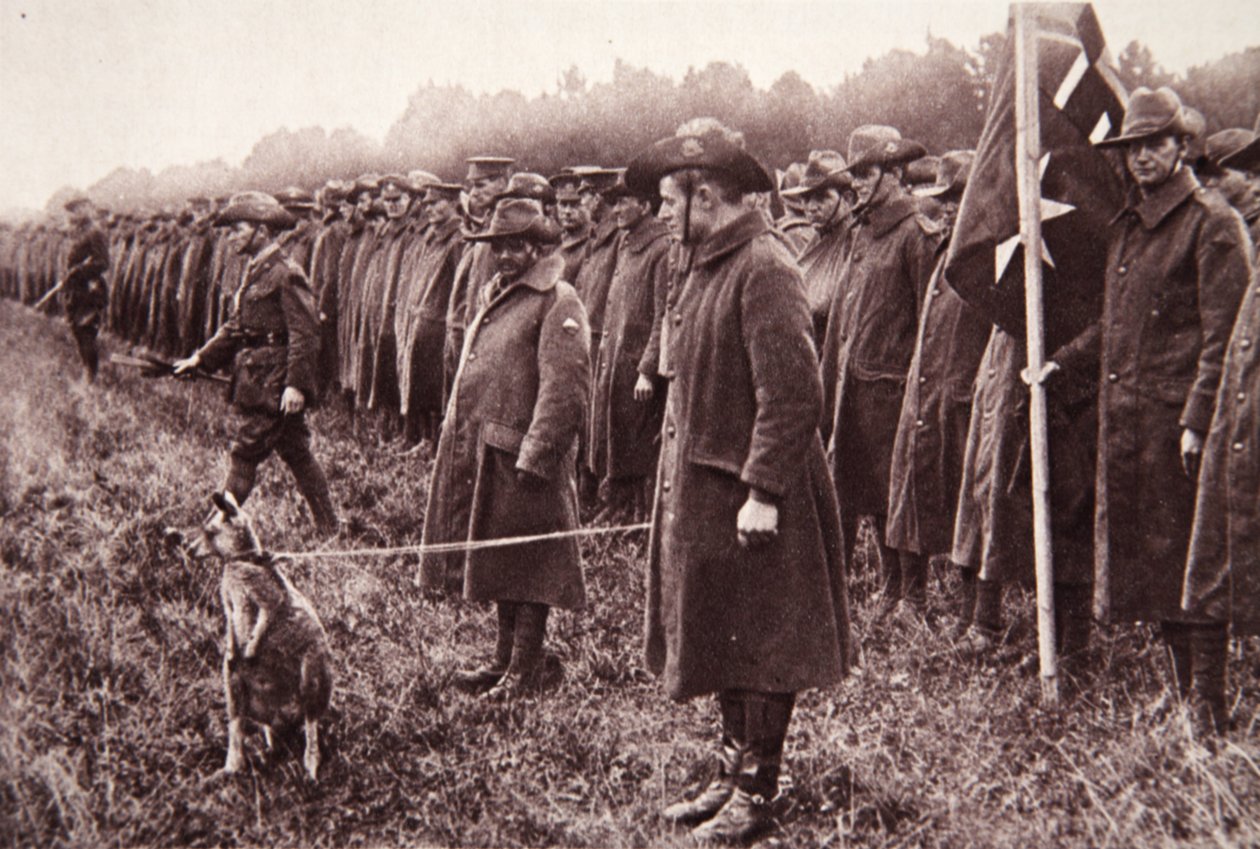 A resenha Anzac na planície de Salisbury: um mascote australiano, ilustração do The Illustrated War News, 27 de setembro de 1916 (foto sépia) de English Photographer