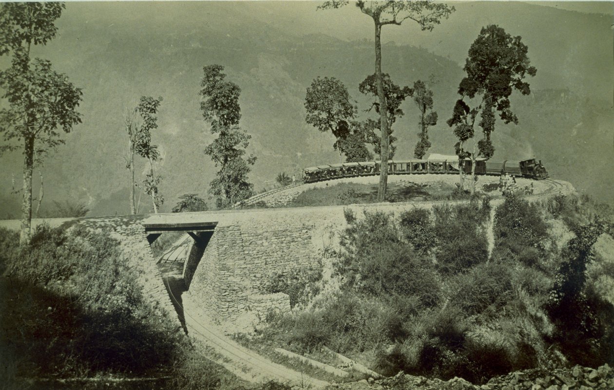 A volta em Agony Point, em Tindharia, na ferrovia do Himalaia de Darjeeling, década de 1880 (impressão de albume) de English Photographer