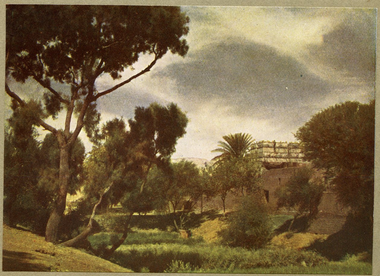 Nos arredores de uma aldeia perto de Luxor, no Egito. de English Photographer