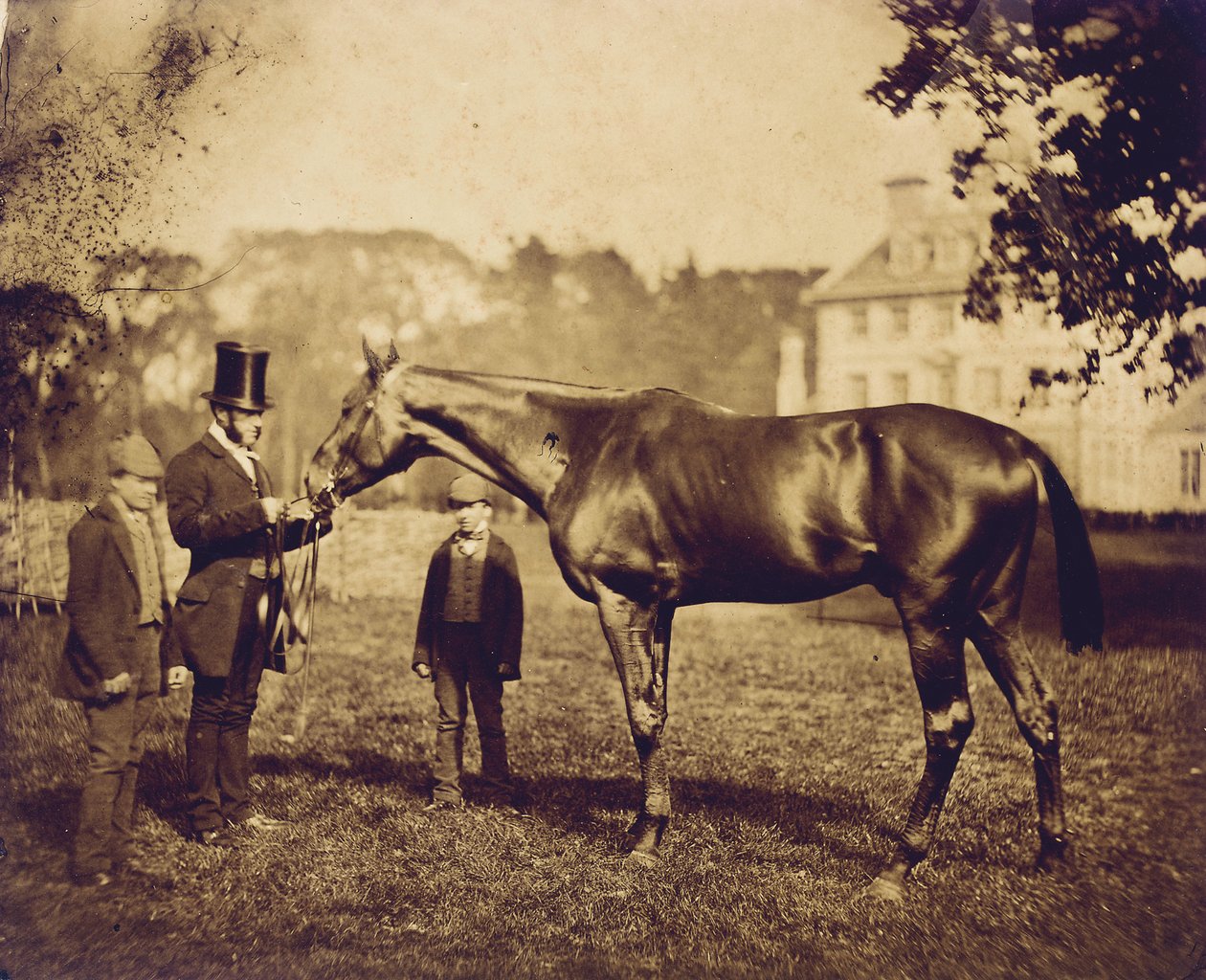Wild Dayrell, vencedor do Derby em 1856 de English Photographer