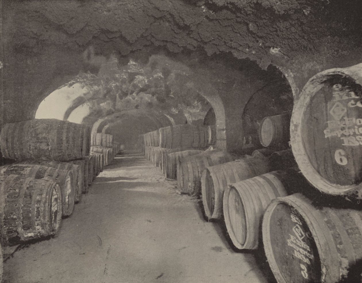 Caves de vinho (fotografia a preto e branco) de English Photographer