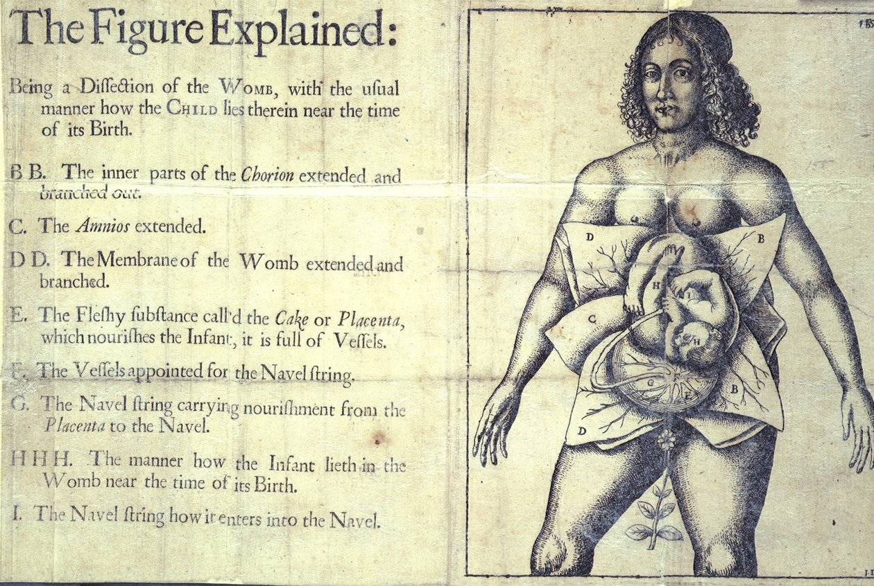1177 b.19 