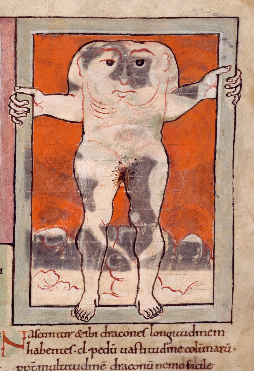 A Blemmyae, ilustração de 