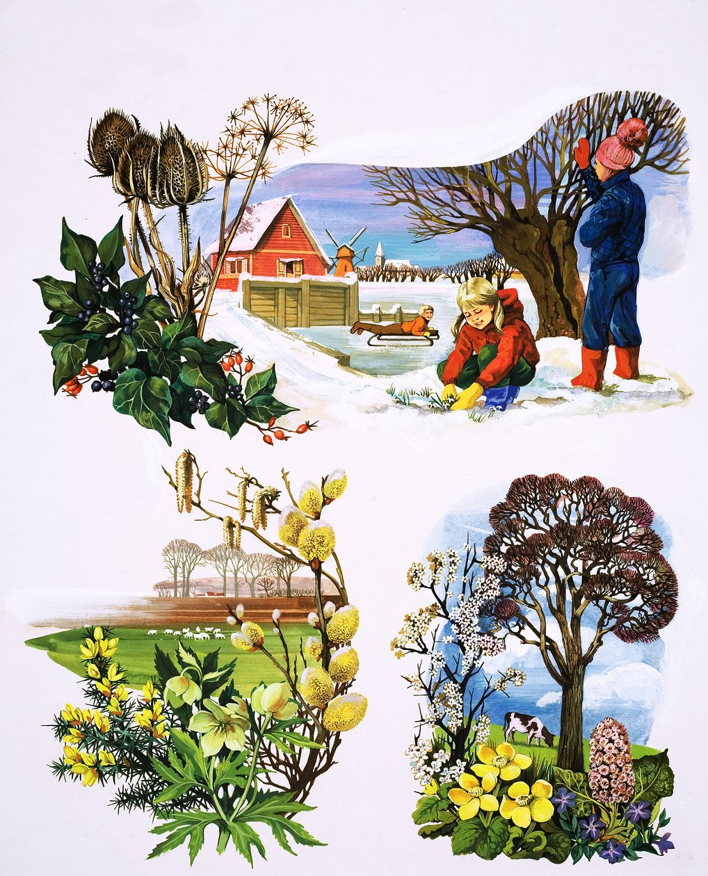 Um calendário de plantas, ilustração de "Era uma vez de English School