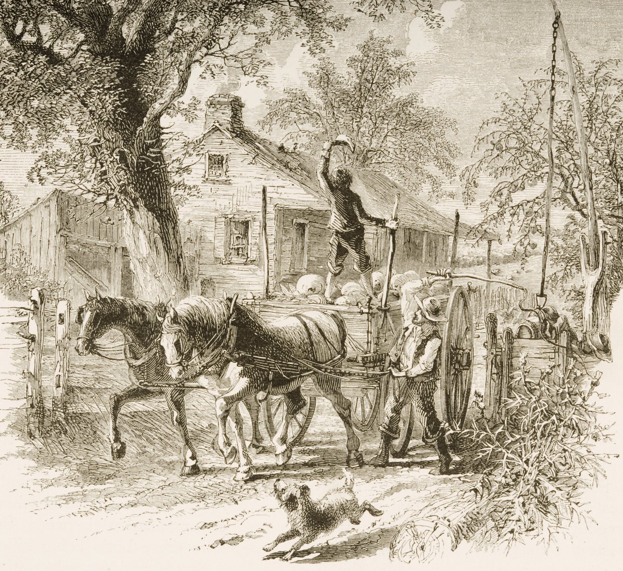 A Homestead em Kansas, da &39;American Pictures&39;, publicado pela The Religious Tract Society, 1876 de English School