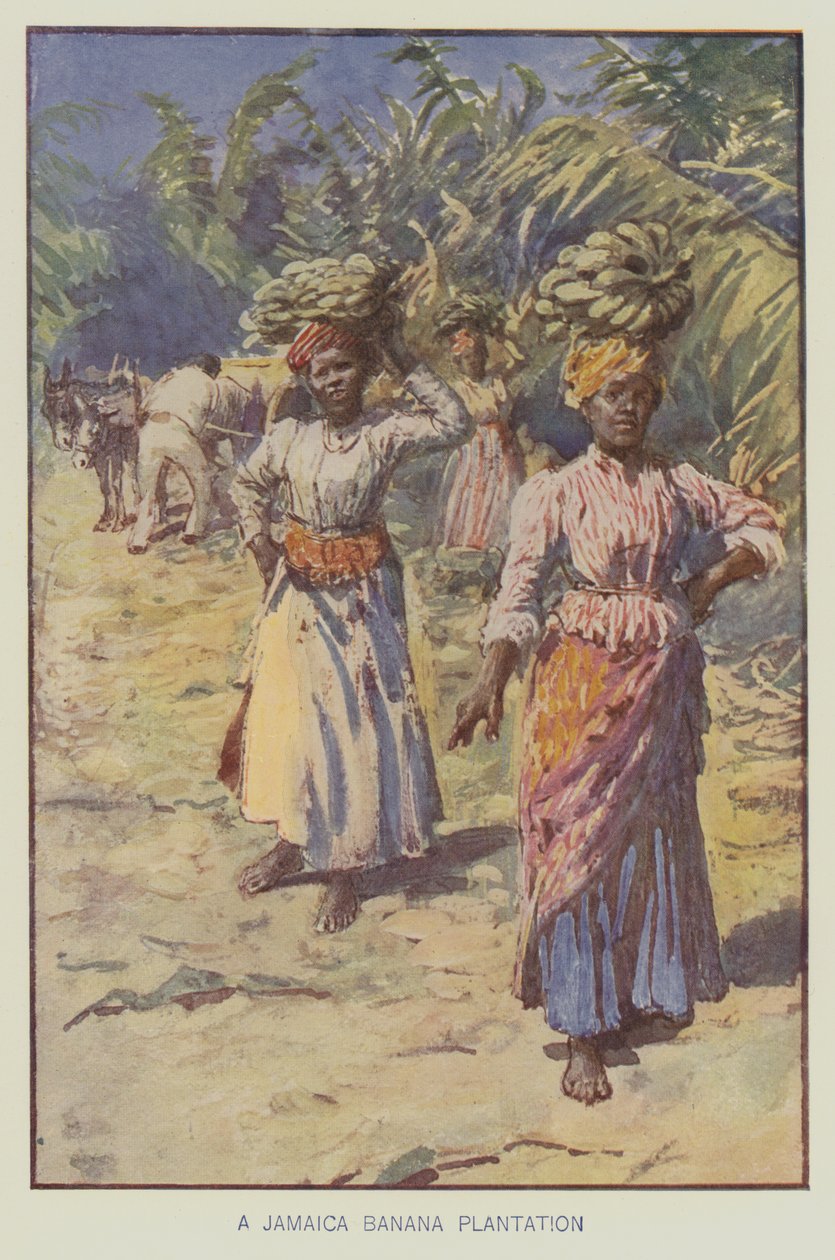 Uma plantação de bananas na Jamaica (litografia a cores) de English School