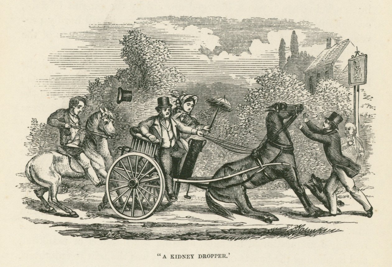 "Um conta-gotas de rim" (gravura) de English School