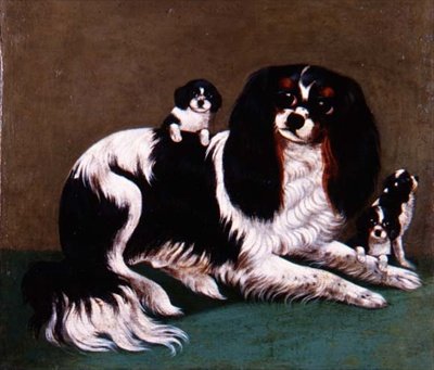 Uma família do Rei Charles Spaniel, Escola Provincial de English School