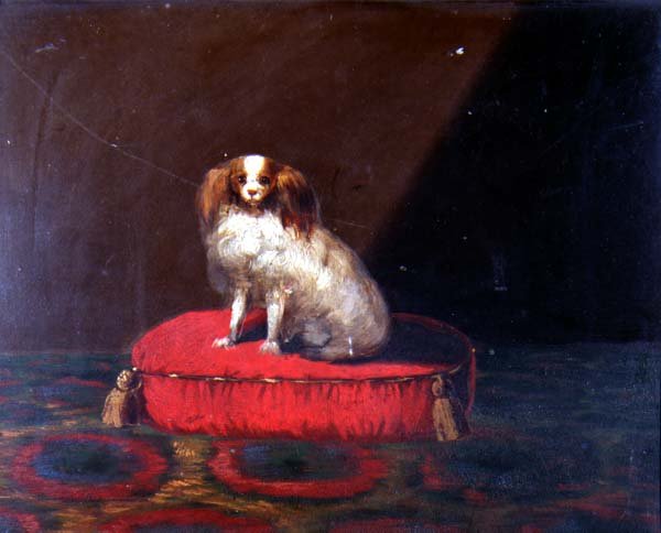 Um Rei Charles Spaniel em uma almofada vermelha, Escola Provincial de English School